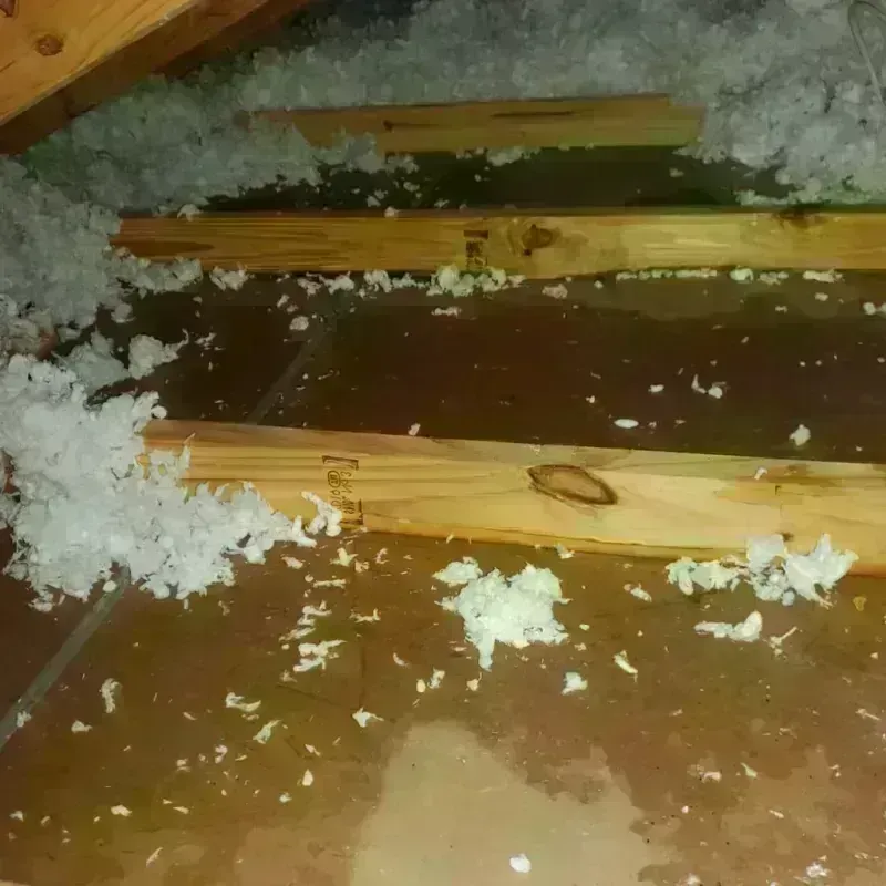 Attic Water Damage in Springfield, MN