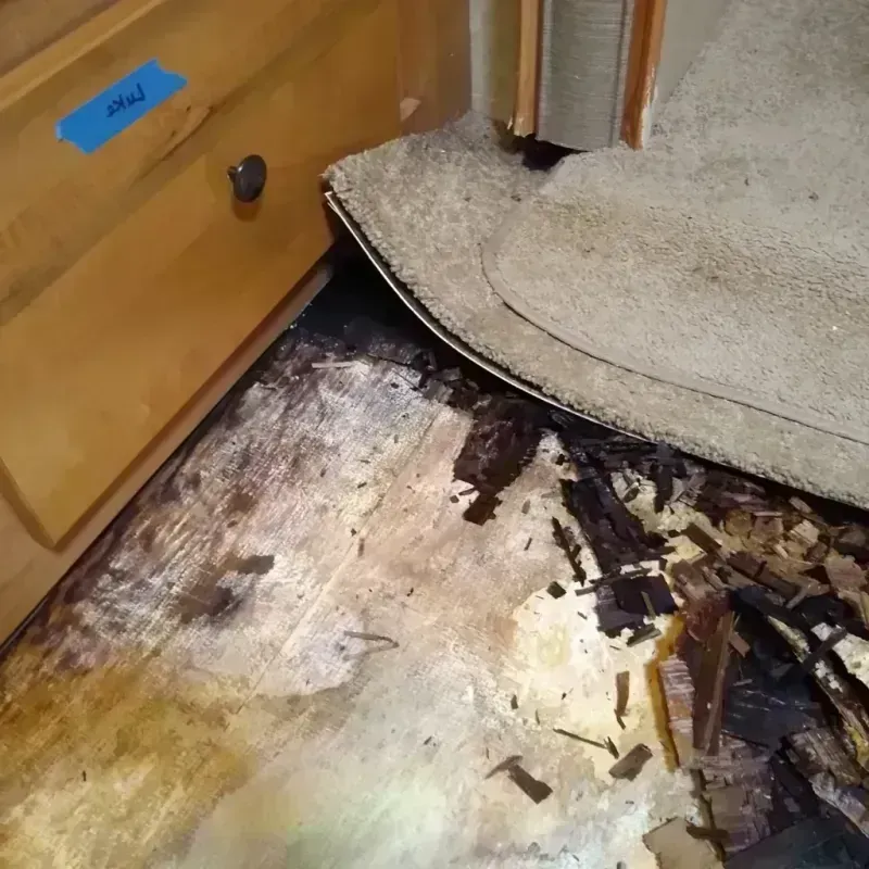 Wood Floor Water Damage in Springfield, MN